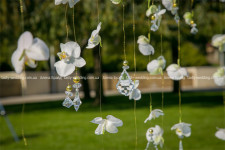 Орхидейная свадьба. Изображение 1955