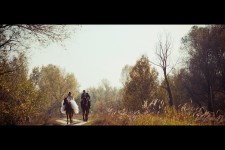 Свадебный. Изображение 21925