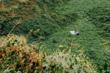 wedding day . Изображение 28407