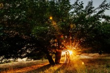 wedding day . Изображение 22053