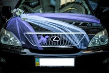 Бело-фиолетовая мечта. Изображение 22479