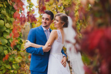 Свадьбы. Изображение 22436 Свадьбы. Изображение 22436