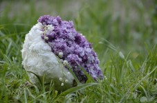 свадебные букеты. Изображение 22577 свадебные букеты. Изображение 22577