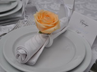 декор зала. Изображение 22885 декор зала. Изображение 22885