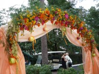 Выездные церемонии. Изображение 22903 Выездные церемонии. Изображение 22903