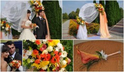 Выездные церемонии. Изображение 22899 Выездные церемонии. Изображение 22899