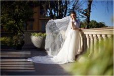 Wedding. Изображение 47461