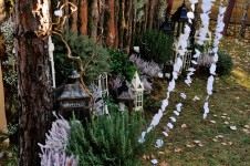 ЭКО-ШИК. Изображение 23416