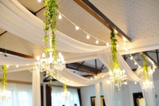 ЭКО-ШИК. Изображение 23424