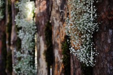 ЭКО-ШИК. Изображение 23412