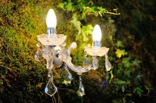 ЭКО-ШИК. Изображение 23414