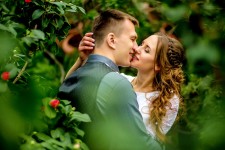 WEDDING. Изображение 23697