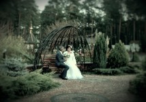 Свадебное фото. Изображение 54804