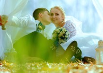 Свадебное фото. Изображение 23738