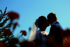 Свадебное фото. Изображение 54802