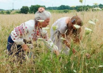 Дети, люди. Изображение 23773