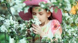 Дети, люди. Изображение 54797