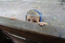 Дети, люди. Изображение 23756