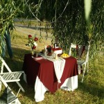 Декор свадебных фотосессий. Изображение 28740