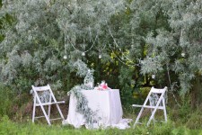 Декор свадебных фотосессий. Изображение 35837