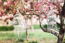 Декор свадебных фотосессий. Изображение 28748