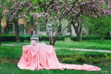 Декор свадебных фотосессий. Изображение 29110