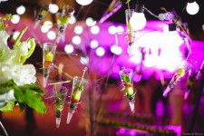 Коллекции накрытий. Изображение 24411