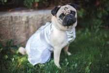 Портфолио ФОТО. Изображение 24628