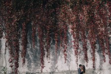 Love story. Изображение 24675