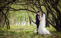 Свадебная съемка. Изображение 25577