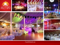 Allegro Hall. Изображение 25957 Allegro Hall. Изображение 25957