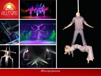 Allegro Hall. Изображение 25960 Allegro Hall. Изображение 25960