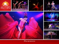 Allegro Hall. Изображение 25961 Allegro Hall. Изображение 25961