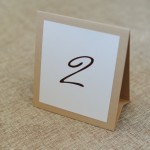 Единый стиль в оформлении свадьбы. Изображение 25971