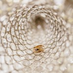 Wedding. Изображение 26022