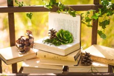 Weddings. Изображение 26165 Weddings. Изображение 26165