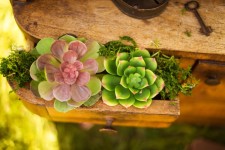 Weddings. Изображение 26166 Weddings. Изображение 26166