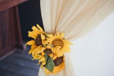 Выездная церемония. Изображение 26242