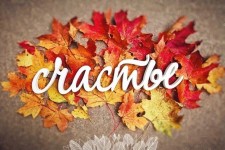 Свадебные детали. Изображение 26286