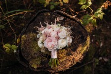 Наша флористика. Изображение 26351 Наша флористика. Изображение 26351