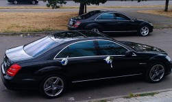 Легковые автомобили. Изображение 26888