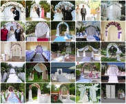 Муза. Изображение 2453