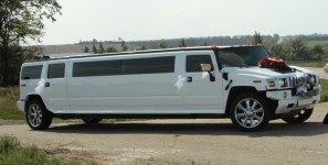 Лимузины. Изображение 26901