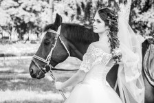 Свадебное фото. Изображение 27076