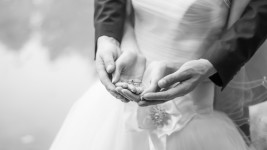 Свадебное фото. Изображение 27070