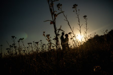 Свадьба. Изображение 37064