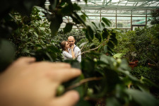 Love Story. Изображение 37088