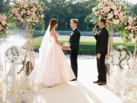 Свадьба мечты . Изображение 27755