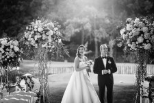 Свадьба мечты . Изображение 27761