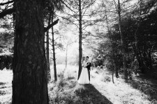 Виктория&Виталий. Изображение 27791 Виктория&Виталий. Изображение 27791